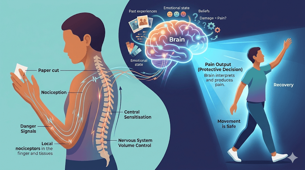 Pain Doesn't Always Mean Damage: Understanding How Pain Really Works